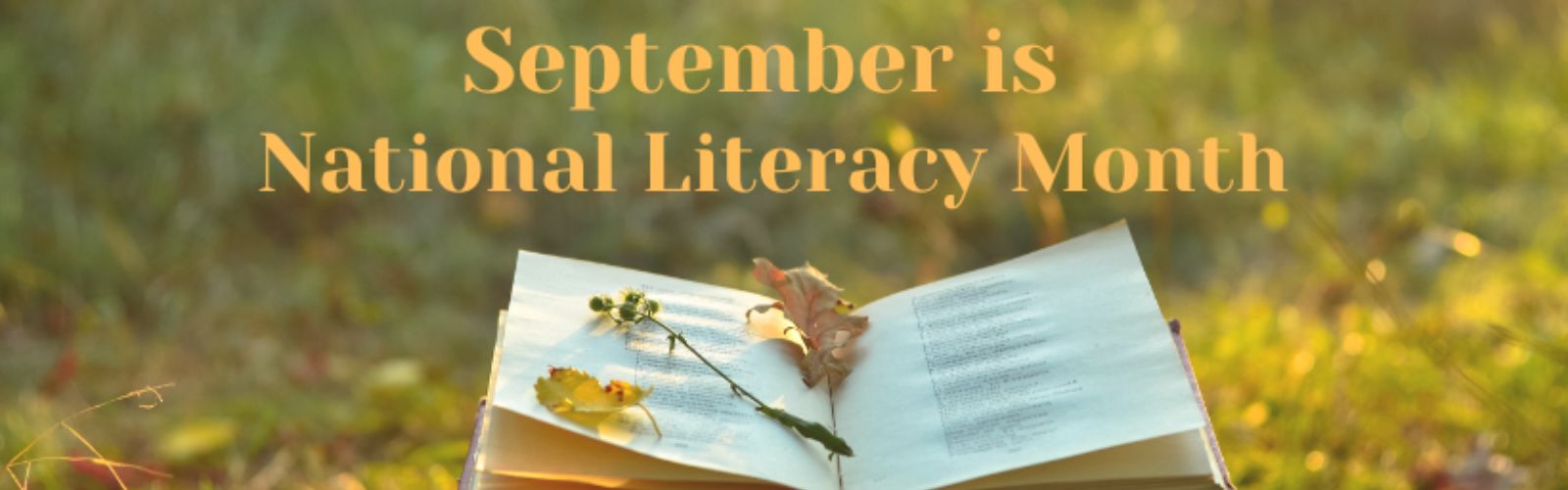 September is National Literacy Month